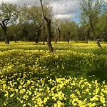 La Corte Del Sole